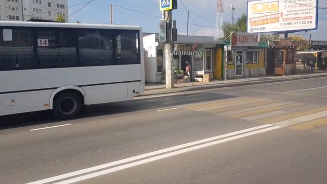 Севастопольский Троллейбус на Тролза 5265.03 Мегаполис ул.Правды-Парк Победы 14 августа 2022г. смотреть онлайн