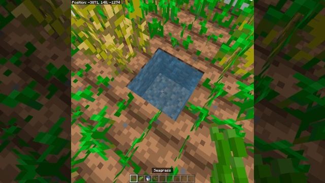 How to prevent water from freezing. #minecraft #minecraftshorts смотреть онлайн