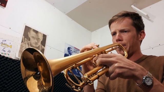 Bird Blues Jim Snidero Trumpet смотреть онлайн
