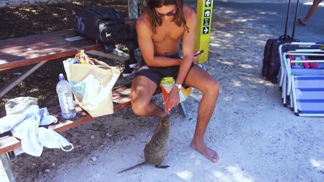 MY FIRST TIME TO AUSTRALIA!! Perth, Rottnest & Sydney смотреть онлайн