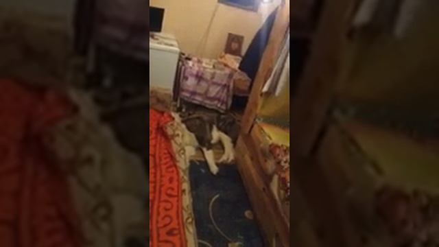 Безопасность для поуехавших. смотреть онлайн