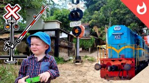 Поезда и железная дорога Шри-ланки/Поезд пуля на жд переезде