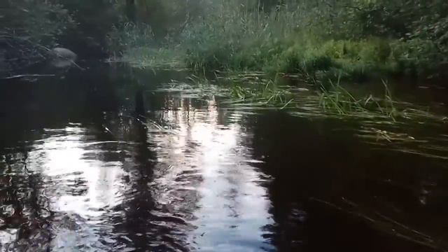 VID 20200815 200114 Колыбель алых губ... Павел Васильев Лахтинский смотреть онлайн