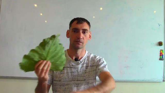 Лицо и естественный уход