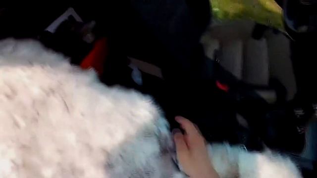 ЛУЧШИЕ МЕХОВЫЕ АВТОЧЕХЛЫ С АЛИЭКСПРЕСС! НАТУРАЛЬНЫЙ МЕХ 100% смотреть онлайн