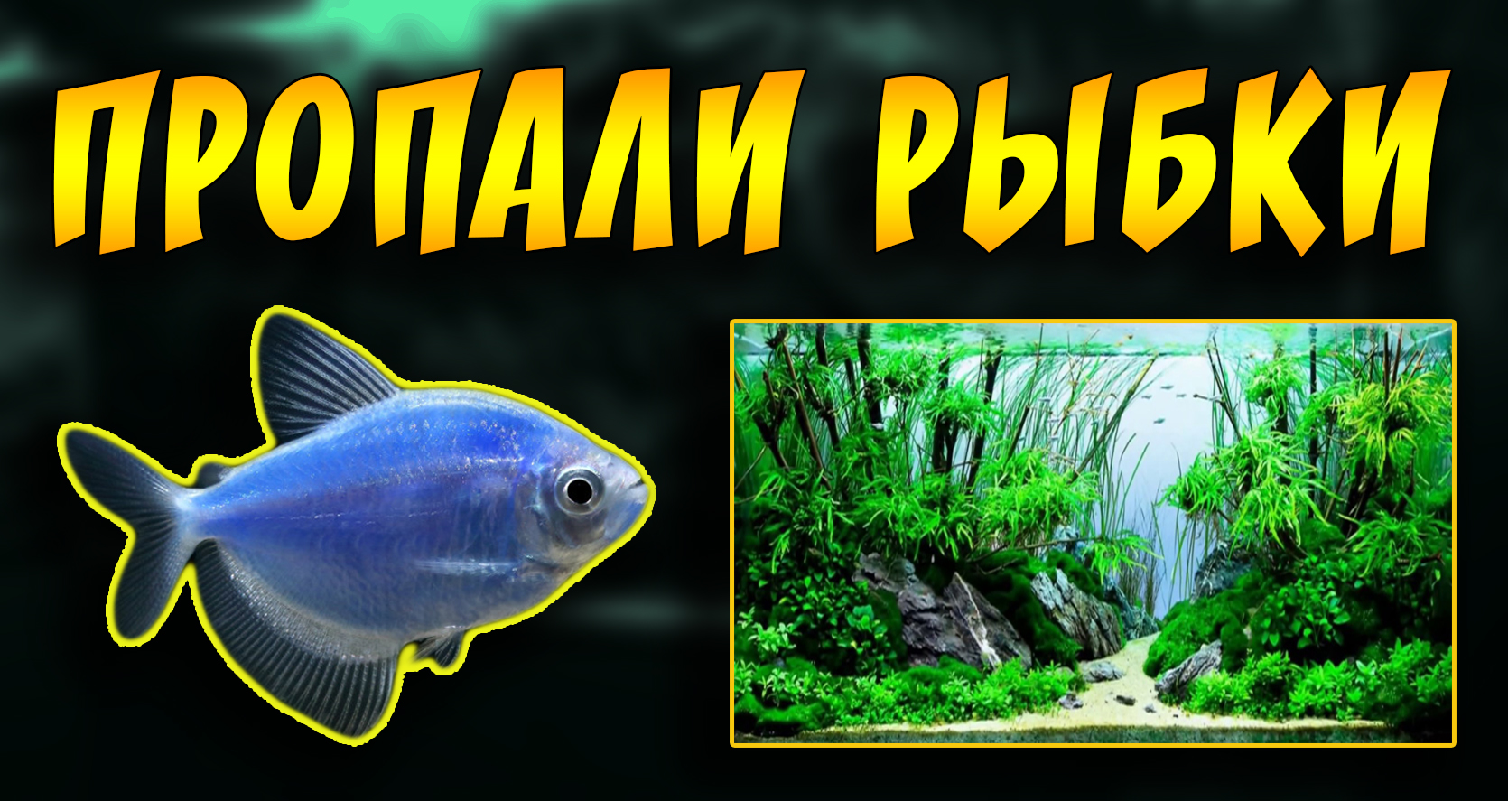 Куда продать аквариумных рыбок. смотреть онлайн