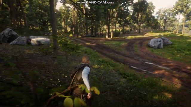 Как добыть превосходную шкуру пантеры в RDR2? Подробный гайд смотреть онлайн