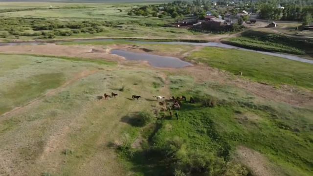 Новомарковка июнь 2021 смотреть онлайн