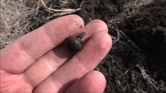 Выбитых мест не бывает! Шикарный перстень. Весенний коп на старинной поселухе. смотреть онлайн