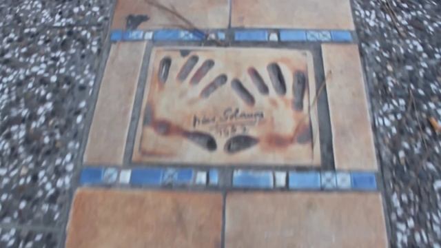 Местные и приезжие у Дворца Фестивалей смотреть онлайн