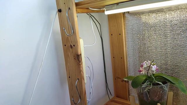 Phal. Little Star (Zambia) смотреть онлайн