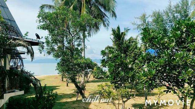 Path Of The Fireflies//Chill //Out//Romantic//Music//V.k#0