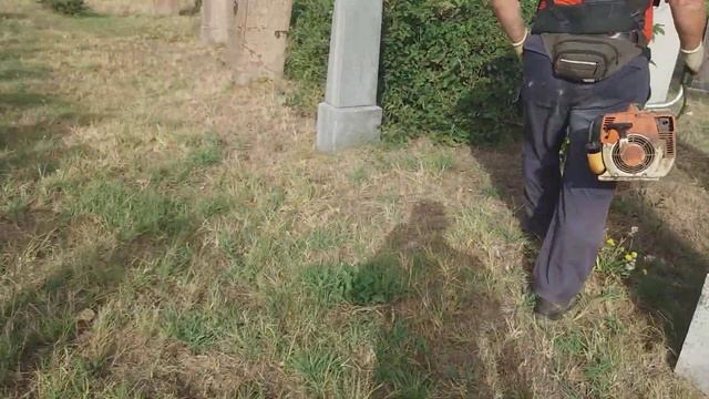 Stihl fs 450,temető tisztítás! смотреть онлайн