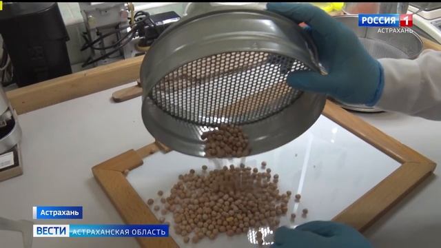 Россельхознадзор напоминает об обязательном обследовании продукции перед отправк.mp4 смотреть онлайн