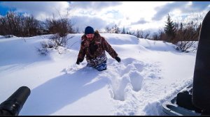 Мототолкач Ураган, едет везде где хочу! Снег по пояс, но буксировщик  держит.