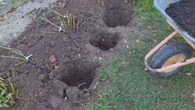 Стройка Челлендж