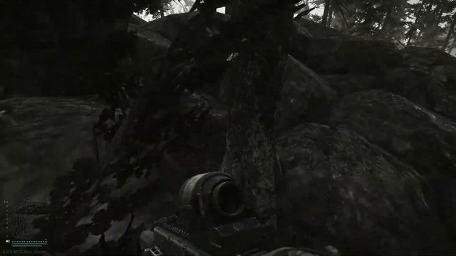 Escape From Tarkov: 💰New Woods Stash Locations💰 смотреть онлайн