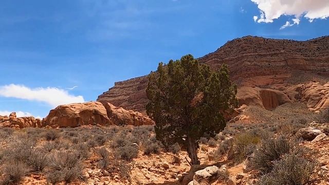 Самый красивый каньон в мире | штат Юта | Reflection canyon смотреть онлайн