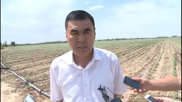 Аким ЮКО посетил хлопоковые плантации в селе Карашык смотреть онлайн