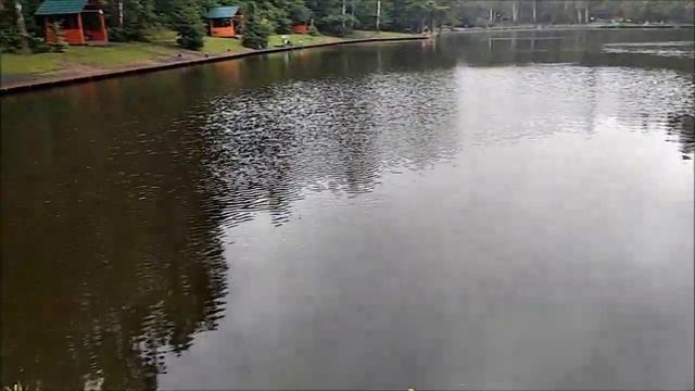 Рыбалка на осетра. Обзор с нижнего. Клёвое место, Лосиный остров смотреть онлайн