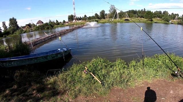 Рыбалка в Белавино. Пытались поймать осетра, но наловили только карпов. смотреть онлайн