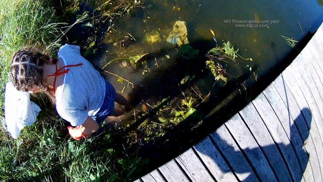 08072018, Харьков, Большая Даниловка, Очистка реки, акция, часть 3 смотреть онлайн