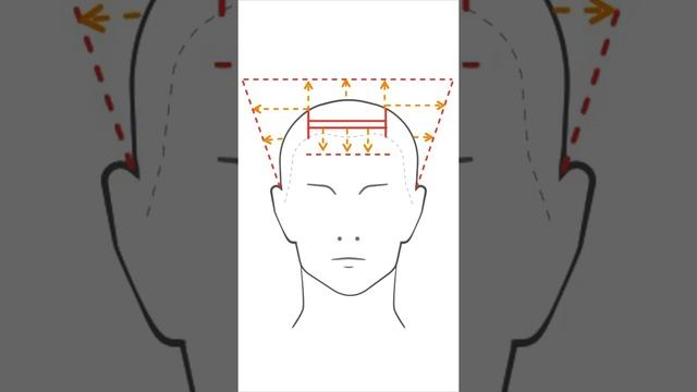 Как постричь CROP от А до Я, haircut CROP from A to Z смотреть онлайн