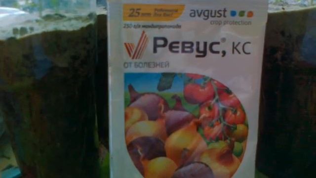 Ревус- лучшее средство для борьбы с фитофторой и пероноспорозом. смотреть онлайн