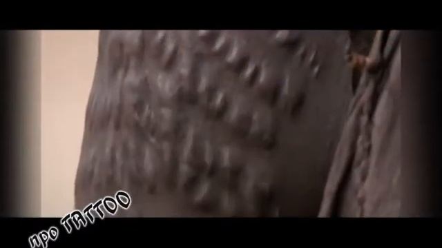 Про Татту 03 Полинезия смотреть онлайн