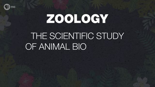 Should Zoos Exist? смотреть онлайн
