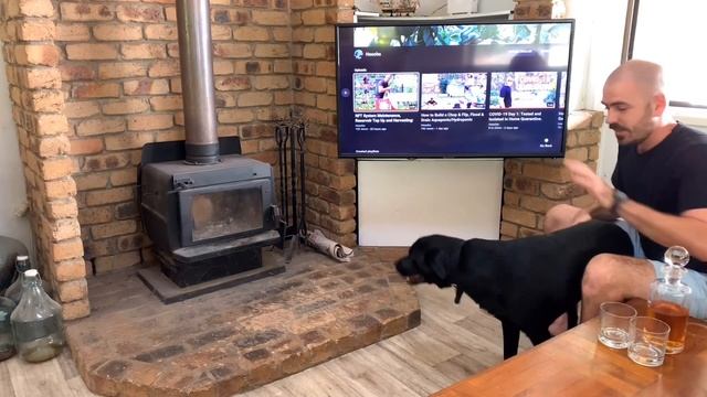 How to Keep Yourself Occupied in Home Isolation. смотреть онлайн