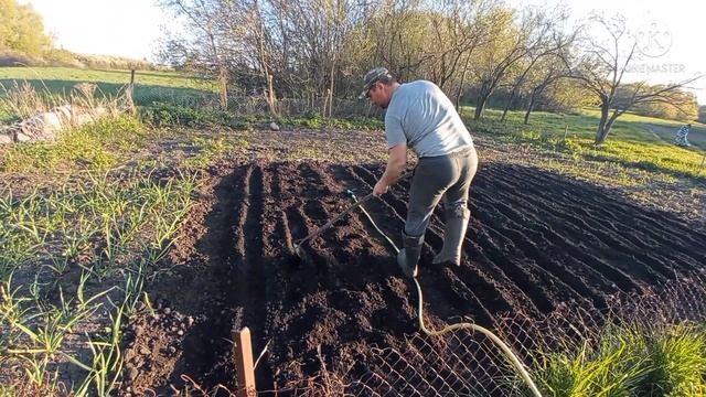 Юрловские куры на прогулке сажаем овощи смотреть онлайн