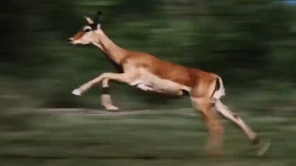 tame impala - let it happen (but it's only the best part)