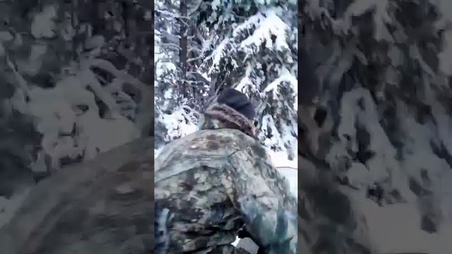 Сноуборд, снегоход, зимний лес и все это в -25 смотреть онлайн