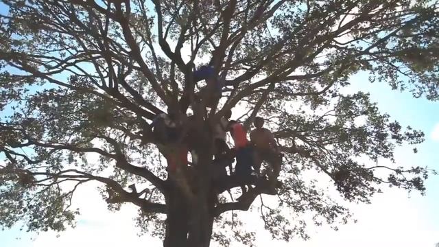 Хроники Акаши смотреть онлайн