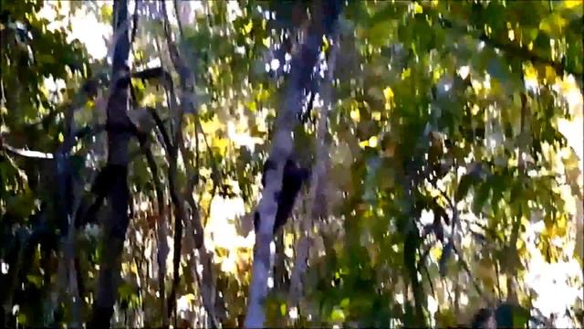 Documentário: Monte do azeite em Duque de caxias, смотреть онлайн