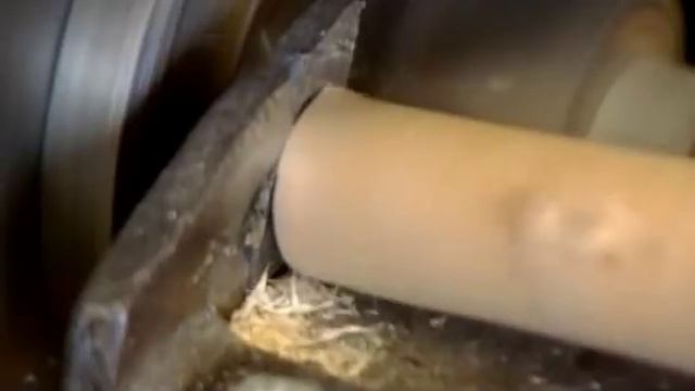 Трости смотреть онлайн