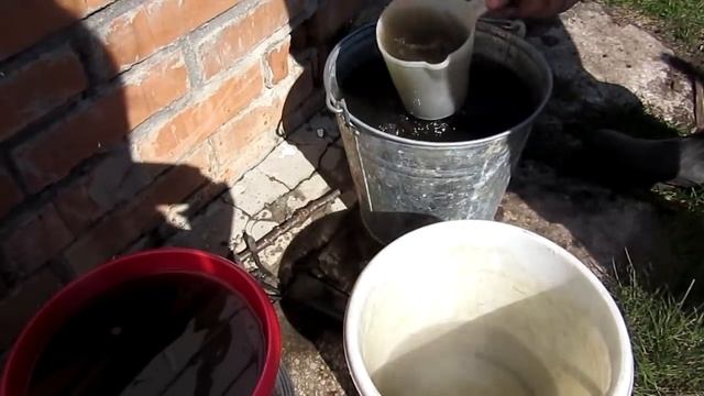 КЛУБНИКА от А до Я! ВАЖНО! Первая подкормка и обработка смотреть онлайн