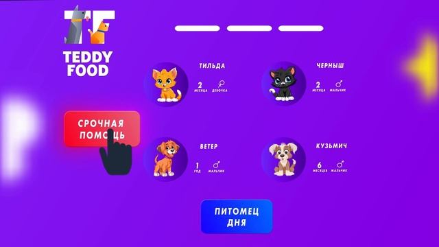 Teddy Food эксплйнер