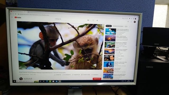 Монитор Samsung S24E391HL, 1920x1080, 75 Гц, PLS смотреть онлайн