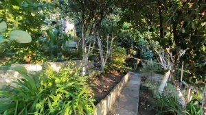 КОМУ ДАЧУ В СОЧИ ? || КУПИТЬ НЕДОРОГУЮ ДАЧУ В СОЧИ. Недвижимость в Сочи