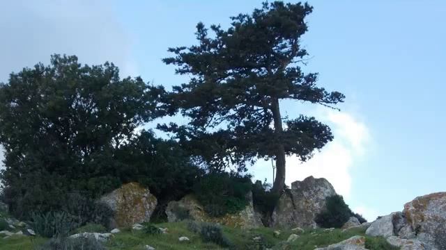 Ответы на вопросы вебинара  КАК СОХРАНИТЬ ДЕНЬГИ В СТРАНАХ СССР