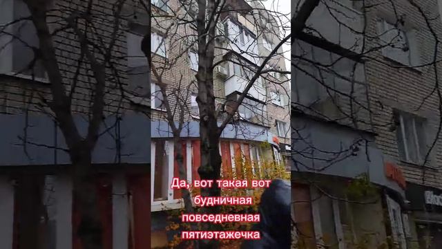 Когда вам без спроса меняют вид из окна смотреть онлайн