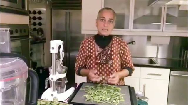 Fresh Stevia From The Secret Garden | Raw And Well