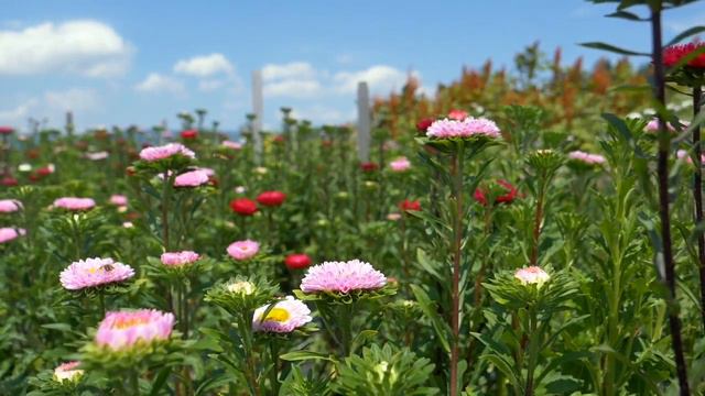 Простые СПОСОБЫ, которые ПОМОГУТ МУЖЧИНЕ взять под КОНТРОЛЬ ОТНОШЕНИЯ! смотреть онлайн