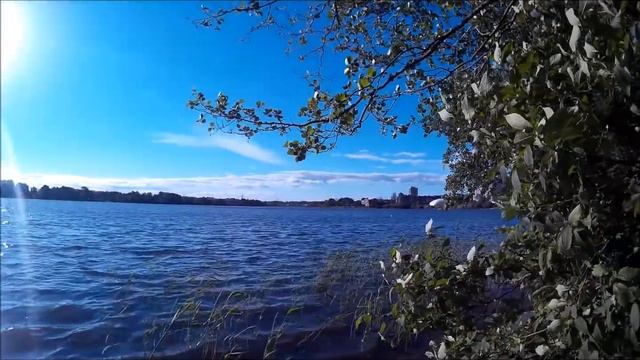 САМОЛЕТЫ РАЗЛЕТАЛИСЬ, ПОГОДА НОРМ смотреть онлайн