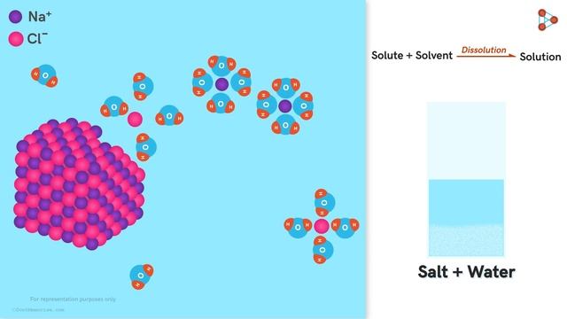 How does a Solute Dissolve in a Solvent? | Solutions | Chemistry | Don't Memorise смотреть онлайн