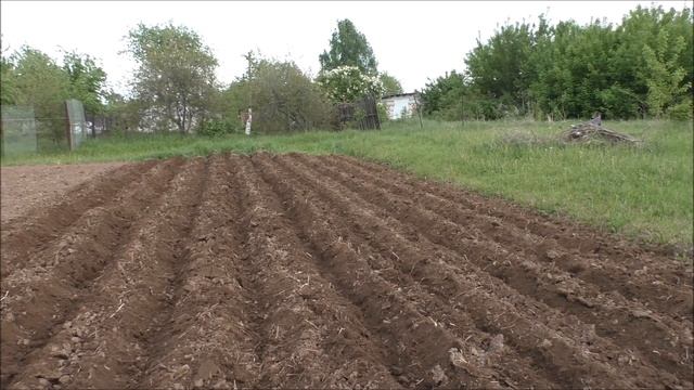 Мотоблок НЕВА. Кривые борозды