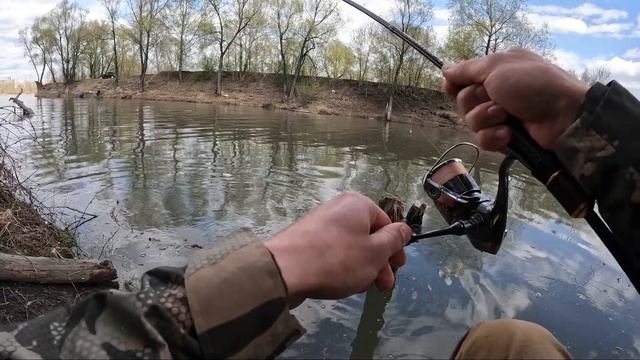 Спиннинг из АРМАТУРЫ? Трофейный судак на микроджиг. Тестирование X-Armatura XAG 67 TZ смотреть онлайн