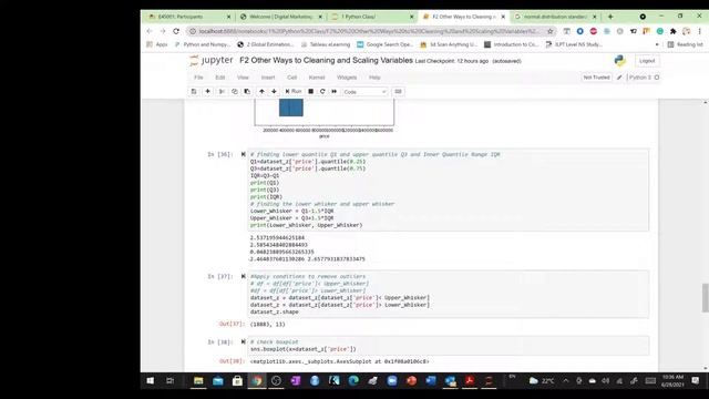Outliers Correction with Python and log transformation for Variable Scaling смотреть онлайн
